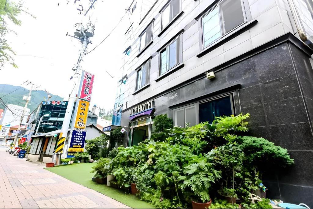 Ace Hotel Ulleungdo Εξωτερικό φωτογραφία