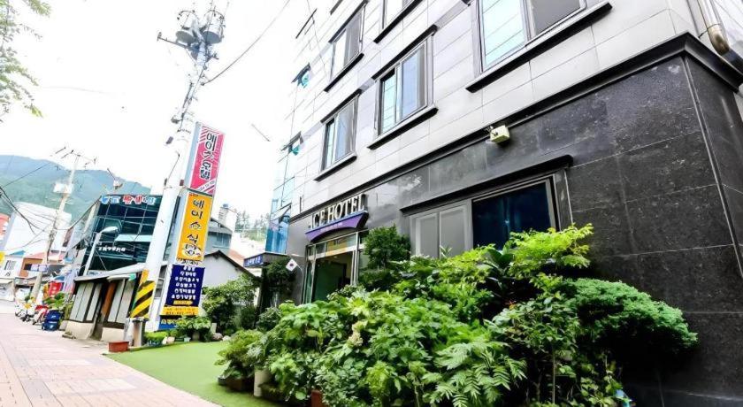 Ace Hotel Ulleungdo Εξωτερικό φωτογραφία